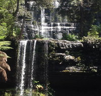 Private Mt Field National Park Day Trip from Hobart Including Salmon Ponds and Bonorong Wildlife Sanctuary - C Tourism