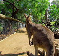 Wilderness and Wildlife - C Tourism