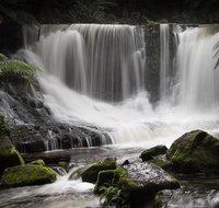 Mt Field National Park premium private photo-oriented day tour from Hobart - C Tourism