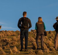 Small Group Tasmanias Wilderness And Wildlife Day Tour - C Tourism