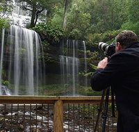 Mt Field and Styx Valley Photography Tour - C Tourism
