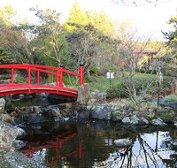 Small-group tour from Hobart Native Flora and Fauna incl. Royal Bot. Gardens - C Tourism