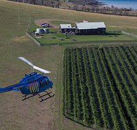 Bangor Vineyard Shed Helicopter Tour - C Tourism
