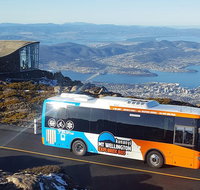 Kunany / Mt Wellington Explorer Bus - 2 Hour Return Tour - C Tourism