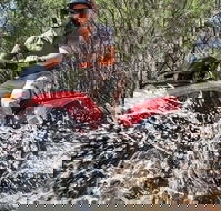 Quad Bike 2-Hour Adventure Freycinet National Park - C Tourism