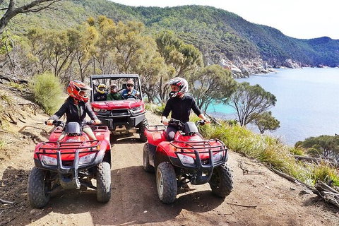 Quad Bike 2-Hour Adventure: Freycinet National Park - C Tourism 2