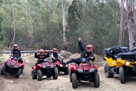 Quad Bike 2-Hour Adventure: Freycinet National Park - C Tourism 4