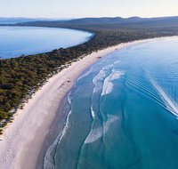 Maria Island Cruise  Walk. Renowned day tour with drinks and guided walk - C Tourism