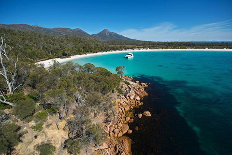 Wineglass Bay Cruise From Coles Bay - C Tourism 5