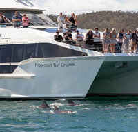 The Peppermint Bay Lunch Cruise from Hobart - C Tourism