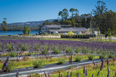 Private Tasman Peninsula Cruise Ship Tour From Port Arthur - C Tourism 0