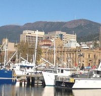 Private Mt Wellington Richmond Bonorong Wildlife Sanctuary Tour from Hobart - C Tourism