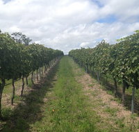 Coal River Valley  Hobart food  wine grazing tour - C Tourism