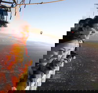 Balloon Flights in Northern Tasmania - C Tourism