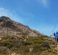 Hartz Peak Hiking Tour - Hartz Mountains National Park - C Tourism