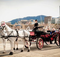 Waterfront Jaunt - C Tourism
