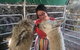 Farm Visit - thumb 1