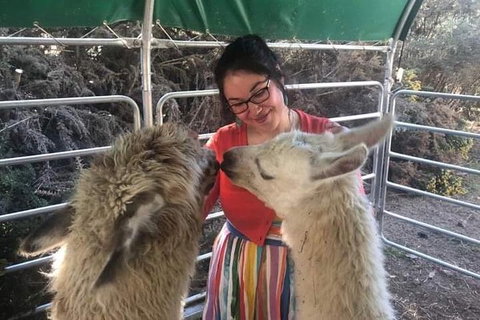 Farm Visit - C Tourism 1