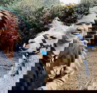 Farm Visit - C Tourism