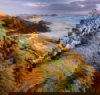 4-Day Tarkine Wilderness Photography Workshop - C Tourism