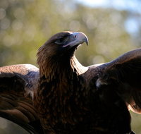 Wildlife day tour 4 Hours 195 per person - C Tourism