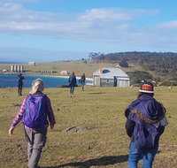 4-Day Hobart Adventure Tour Maria Island Cape Raoul Mount Field Cape Hauy - C Tourism
