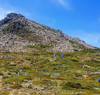 3-Day Hobart Adventure Tour Mount Field Cape Hauy and Hartz Peak - C Tourism