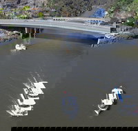 2.50 hour Afternoon Discovery Cruise including Cataract Gorge departing at 3 pm - C Tourism