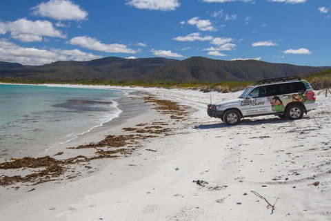 4X4 And Lunch Half Day Bicheno Coastal Mountain - C Tourism 0
