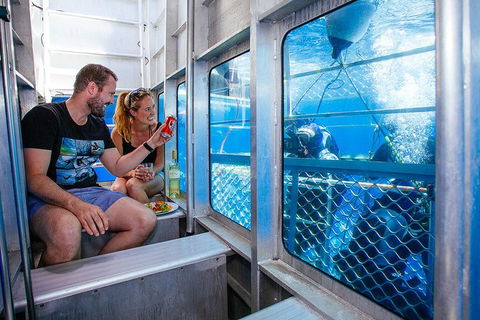 White Shark Tour With Optional Cage Dive From Port Lincoln - C Tourism 4