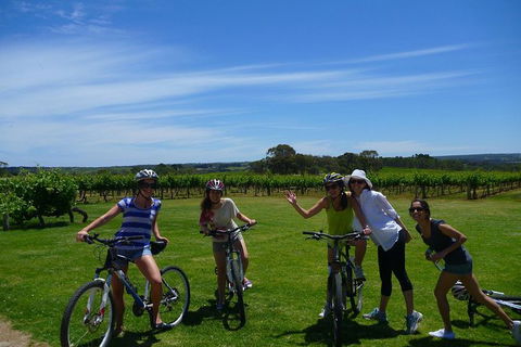 McLaren Vale Wine Tour By Bike - C Tourism 1