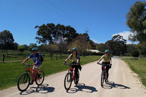 McLaren Vale Wine Tour By Bike - C Tourism 8