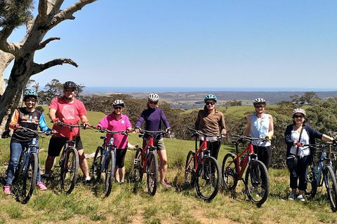 McLaren Vale Wine Tour By Bike - C Tourism 6
