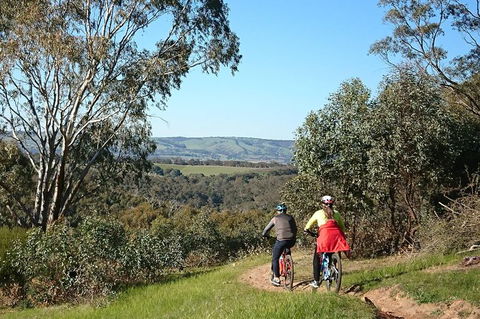 McLaren Vale Wine Tour By Bike - C Tourism 13