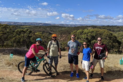 McLaren Vale Wine Tour By Bike - C Tourism 3