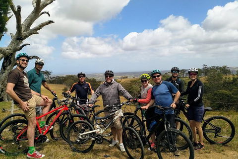 McLaren Vale Wine Tour By Bike - C Tourism 7