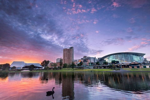 Adelaide Airport Private Chauffeured Transfer - C Tourism 7