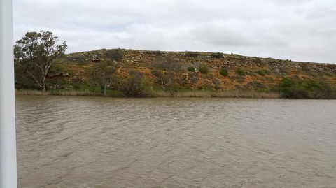 Murray River Riverboat Tour Including Lunch From Adelaide - C Tourism 9