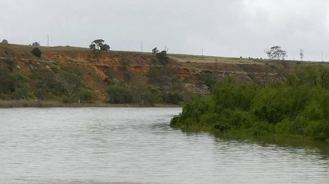 Murray River Riverboat Tour Including Lunch From Adelaide - C Tourism 6