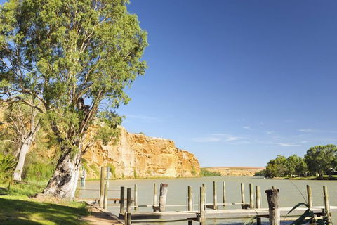 Murray River Riverboat Tour Including Lunch From Adelaide - C Tourism 1