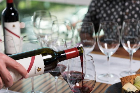 D'Arenberg McLaren Vale: The Dead Arm Shiraz Vertical Masterclass And Cheese Plate - C Tourism 1
