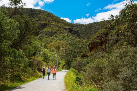 Morialta Wilderness And Wildlife Hike - Day Trip From Adelaide - C Tourism 0