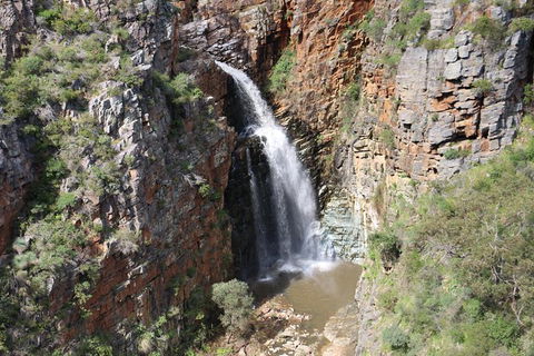 Morialta Wilderness And Wildlife Hike - Day Trip From Adelaide - C Tourism 7