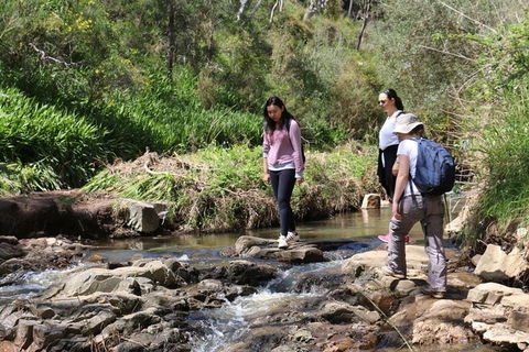 Morialta Wilderness And Wildlife Hike - Day Trip From Adelaide - C Tourism 6