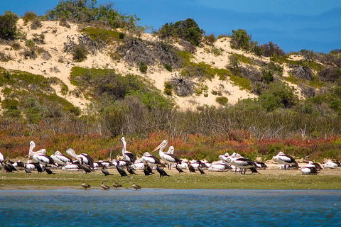 Murray Mouth Cruise - C Tourism 0