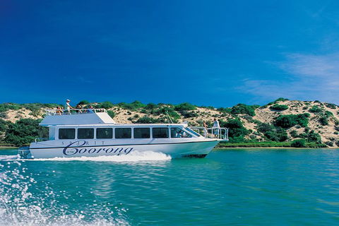 Murray Mouth Cruise - C Tourism 6