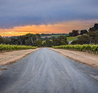 The Ultimate Shottesbrooke Wine  Food Experience - C Tourism