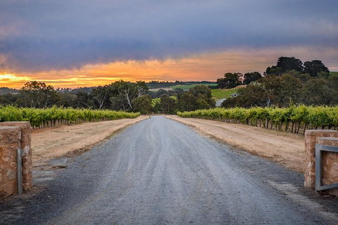 The Ultimate Shottesbrooke Wine & Food Experience - C Tourism 2