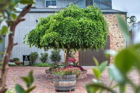 The Ultimate Shottesbrooke Wine & Food Experience - C Tourism 4