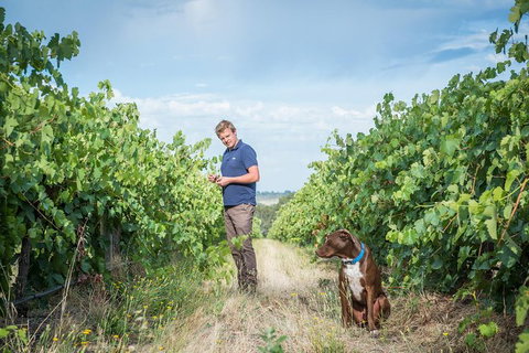The Ultimate Shottesbrooke Wine & Food Experience - C Tourism 7